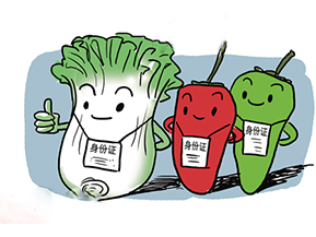 食品追溯系統(tǒng)帶來的優(yōu)勢有哪些？